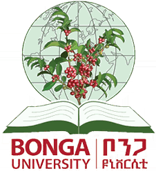 Bonga University