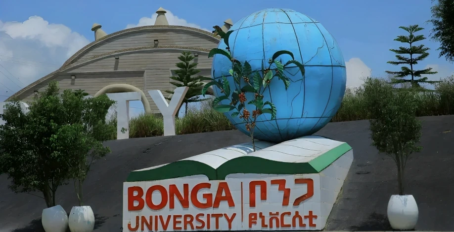 Bonga University Campus