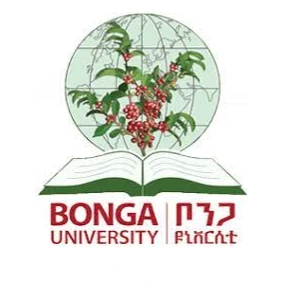 Bonga University
