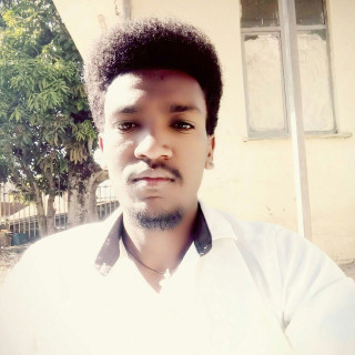 Mr. Alebel Mulia Alene