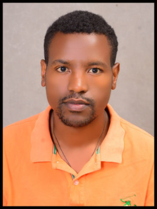 Addisu Hailu Liki