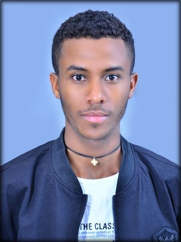 Mr Awoke Mequanint Molla
